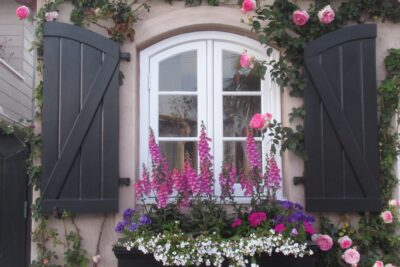 local estate agents adding value to your garden