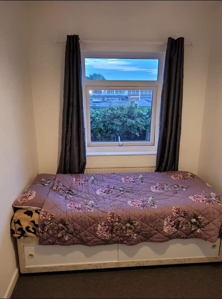room for rent greystoke avenue