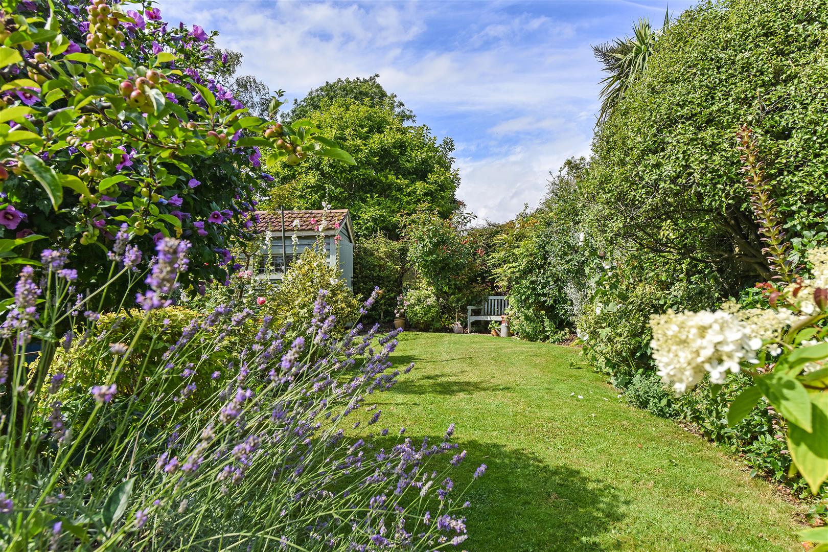 house - semi-detached for sale belmont grove