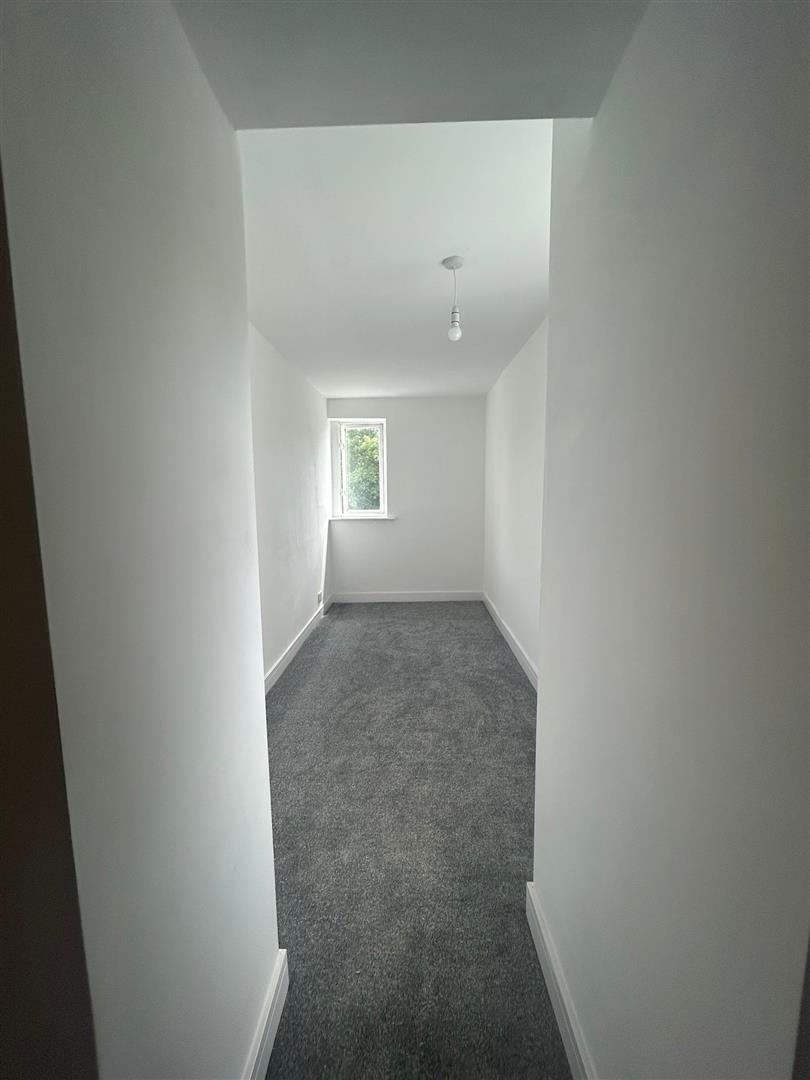 house for rent swansea road