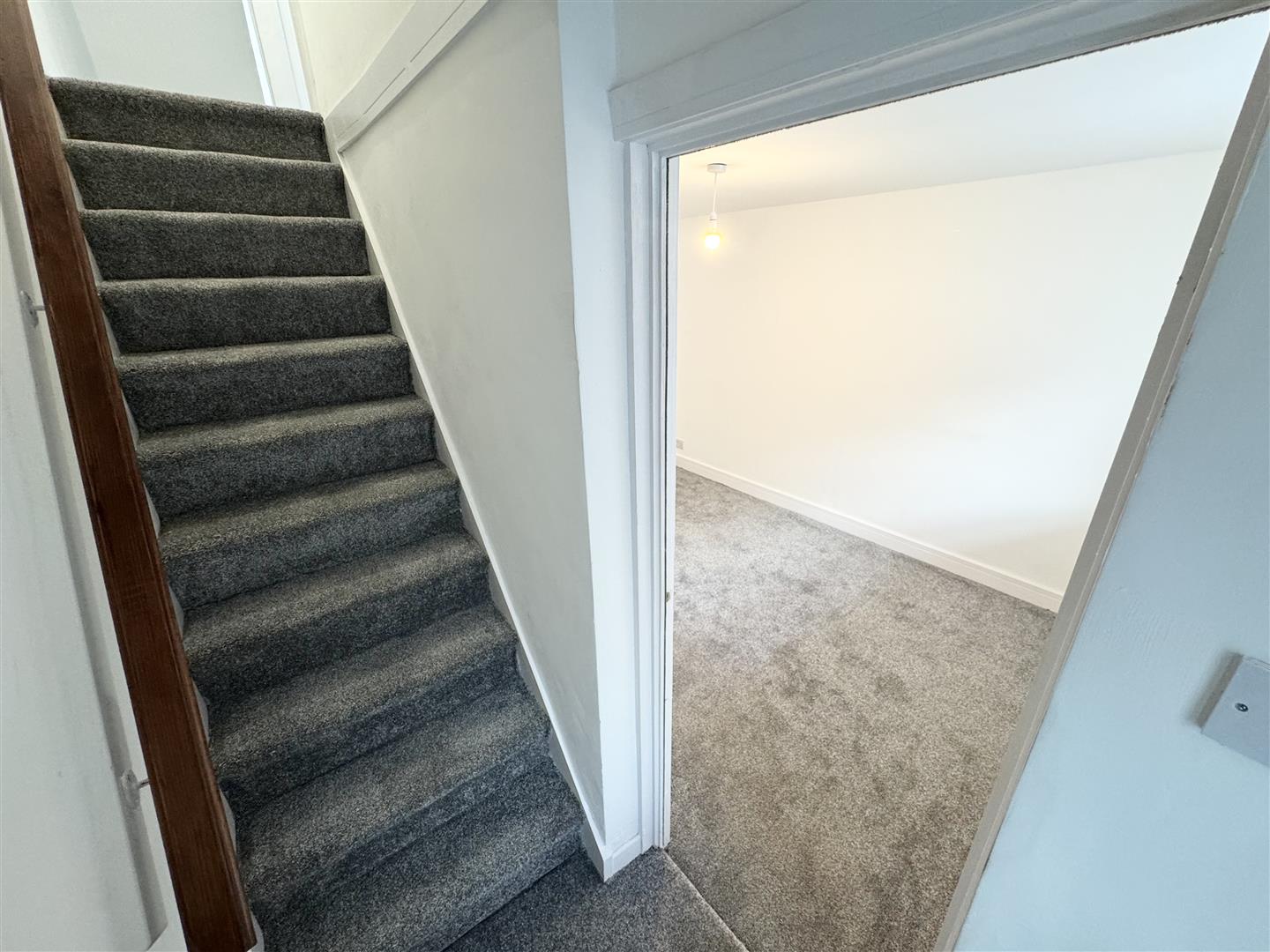 house for rent swansea road