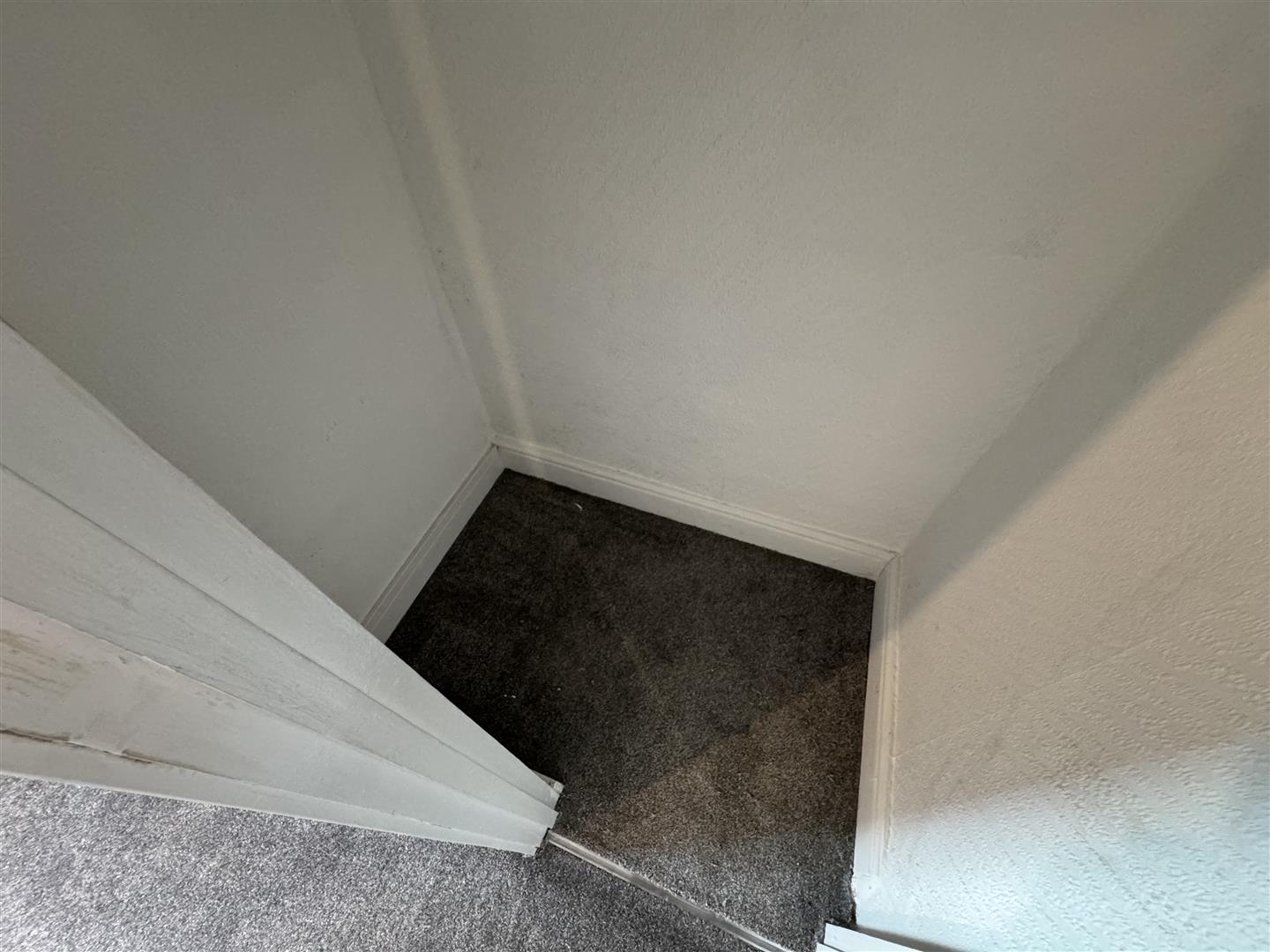 house for rent swansea road