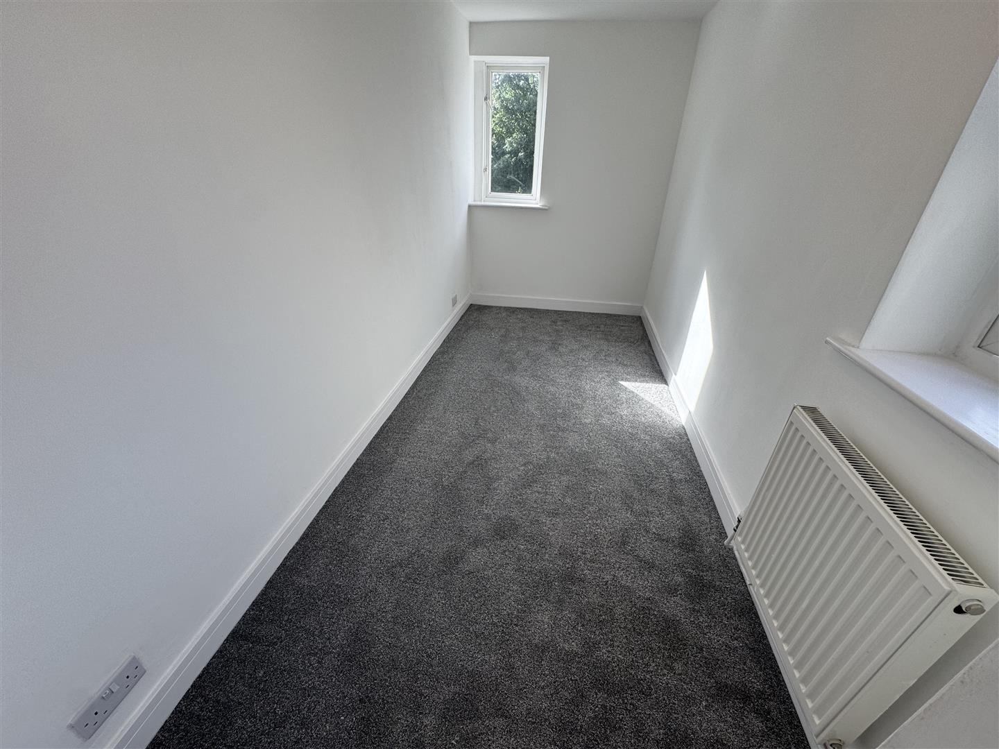 house for rent swansea road