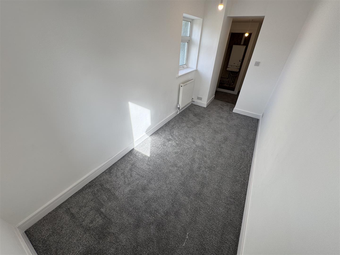 house for rent swansea road