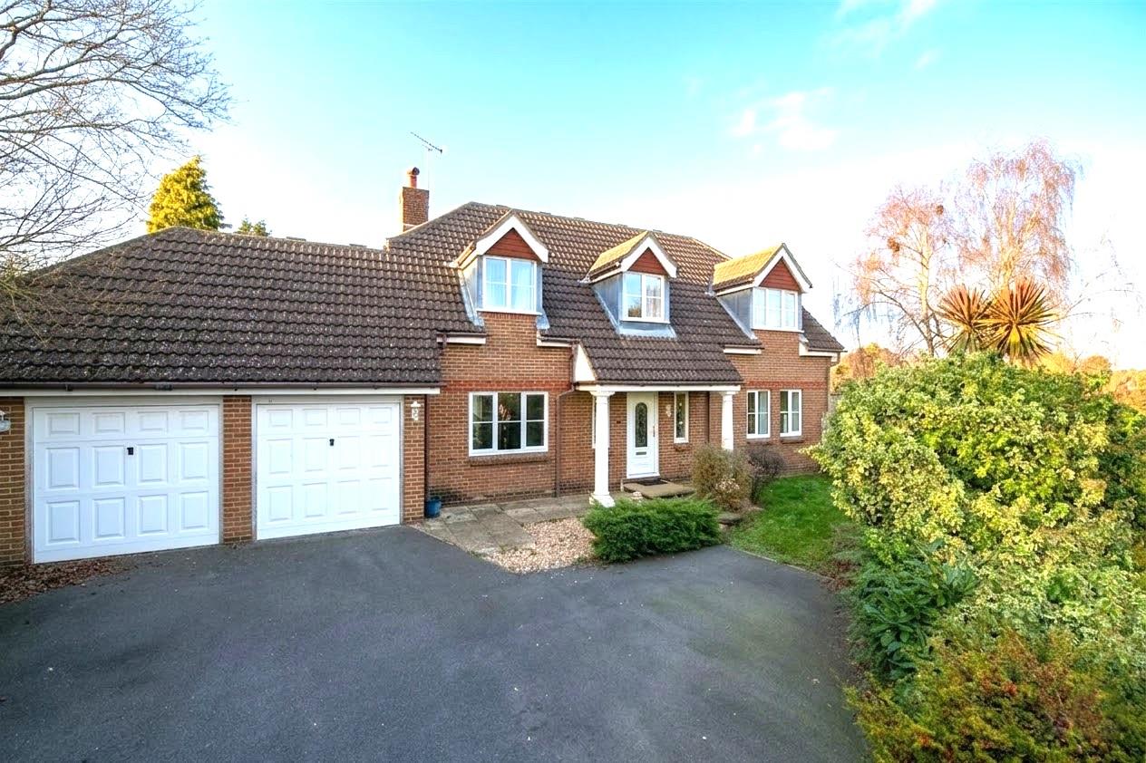 room for rent 12 maple wood