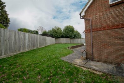 room for rent 12 maple wood