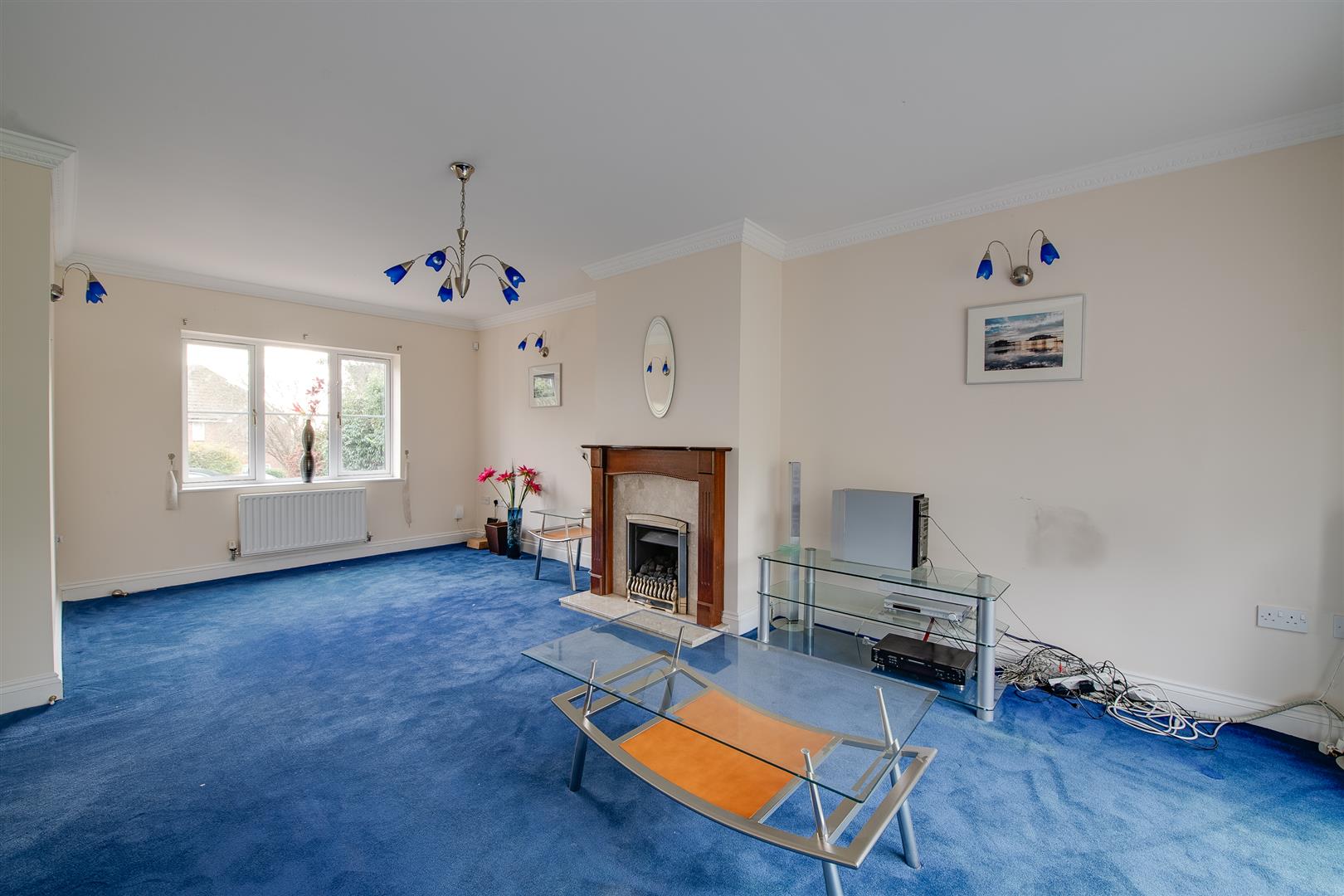 room for rent 12 maple wood