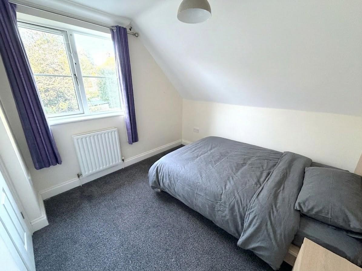 room for rent 12 maple wood