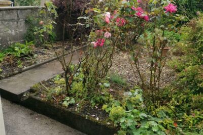 house for rent wingfield street