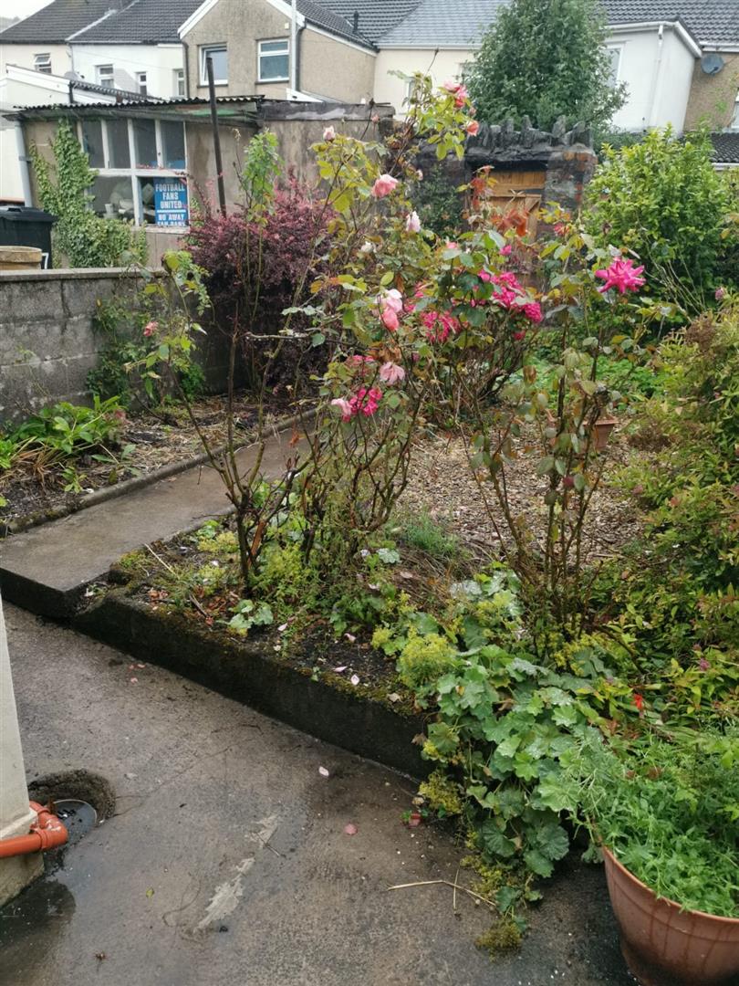 house for rent wingfield street