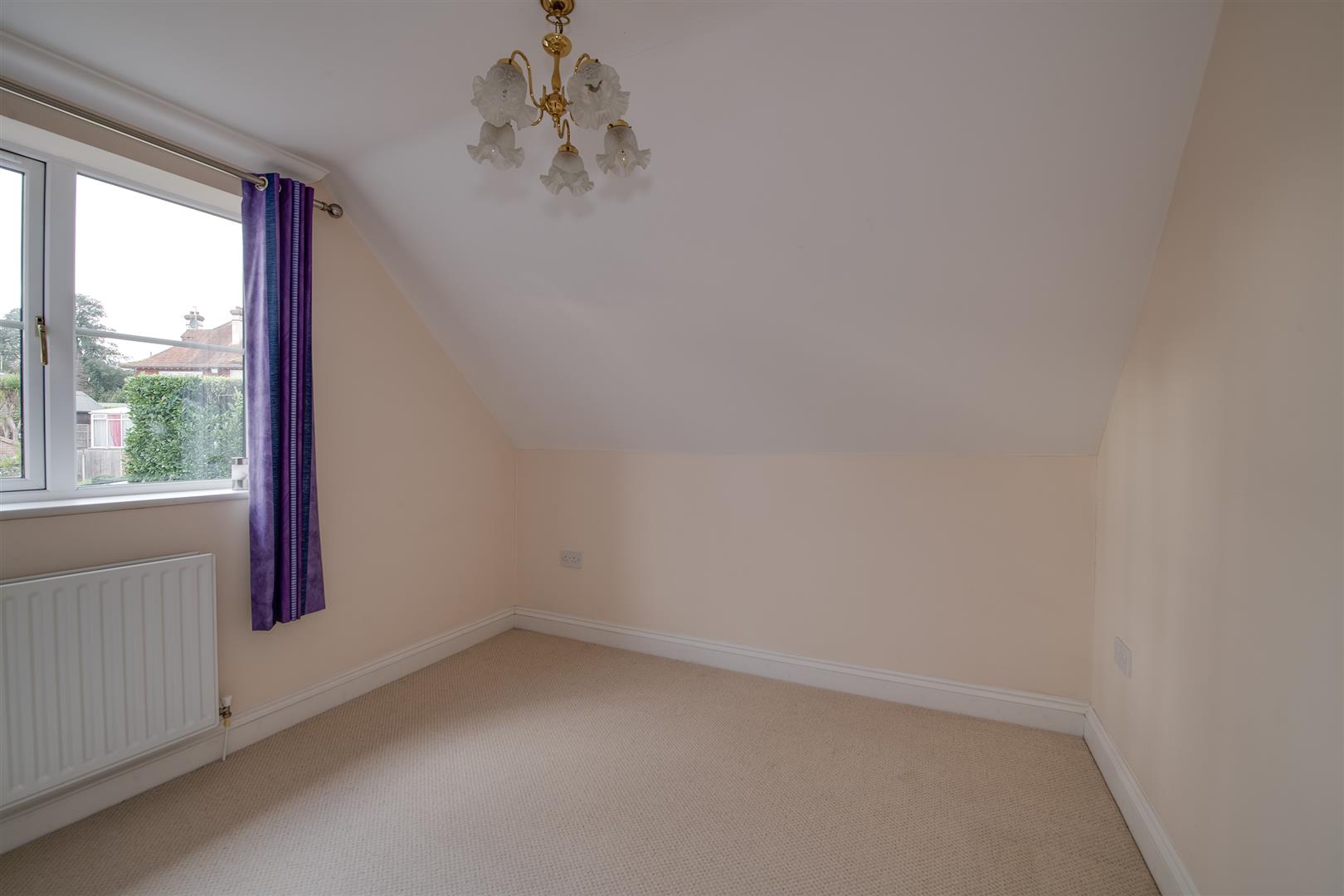 room for rent 12 maple wood