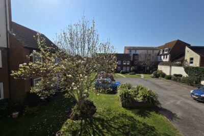 apartment for rent cottage grove