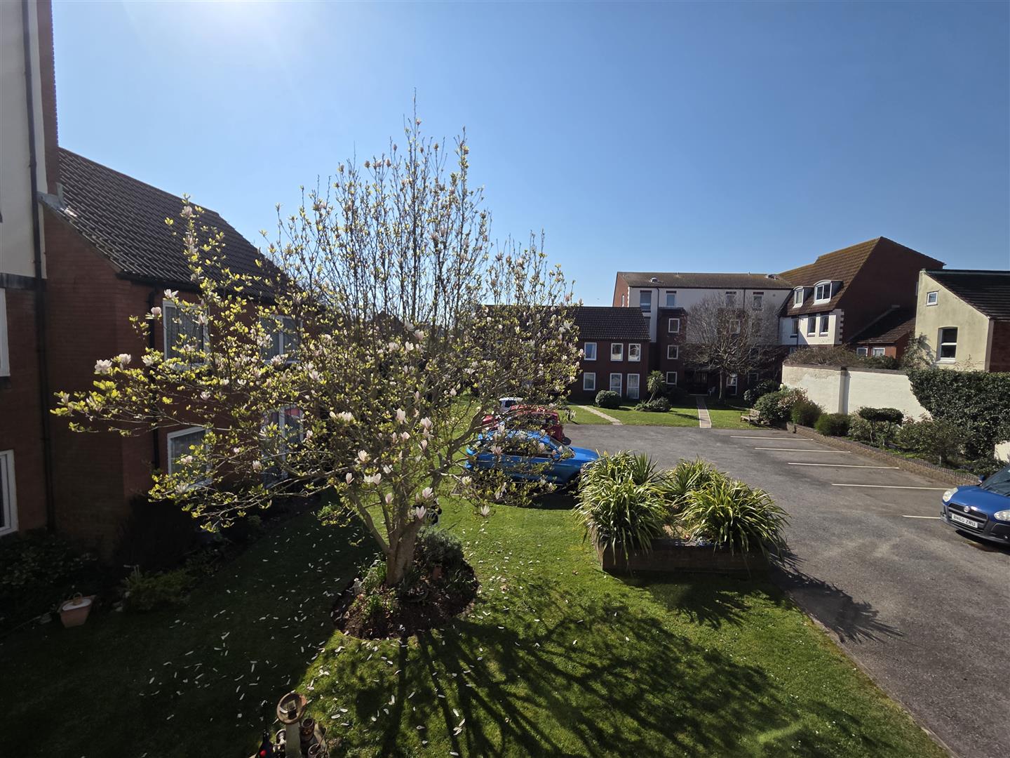 apartment for rent cottage grove