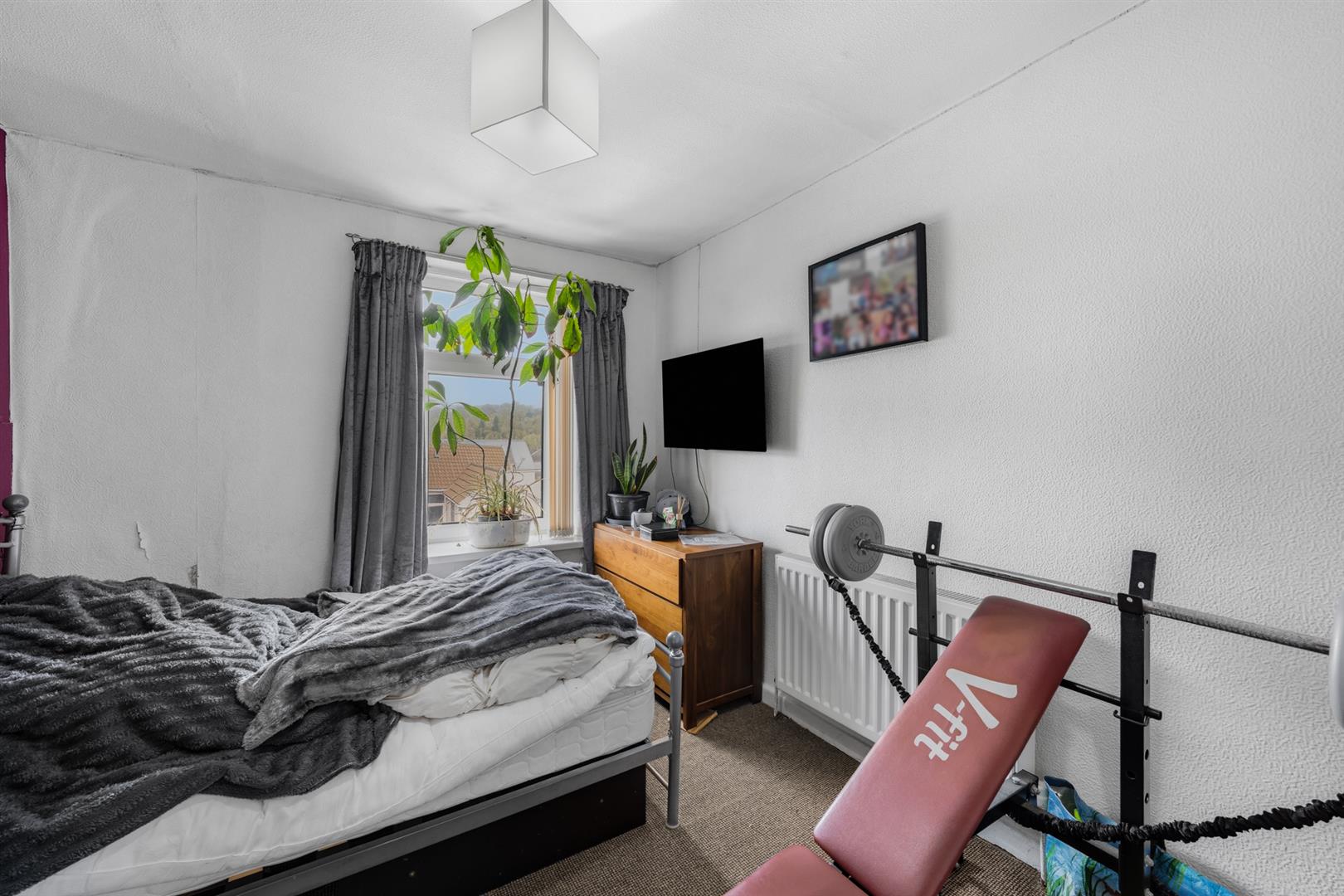 house for sale graig street