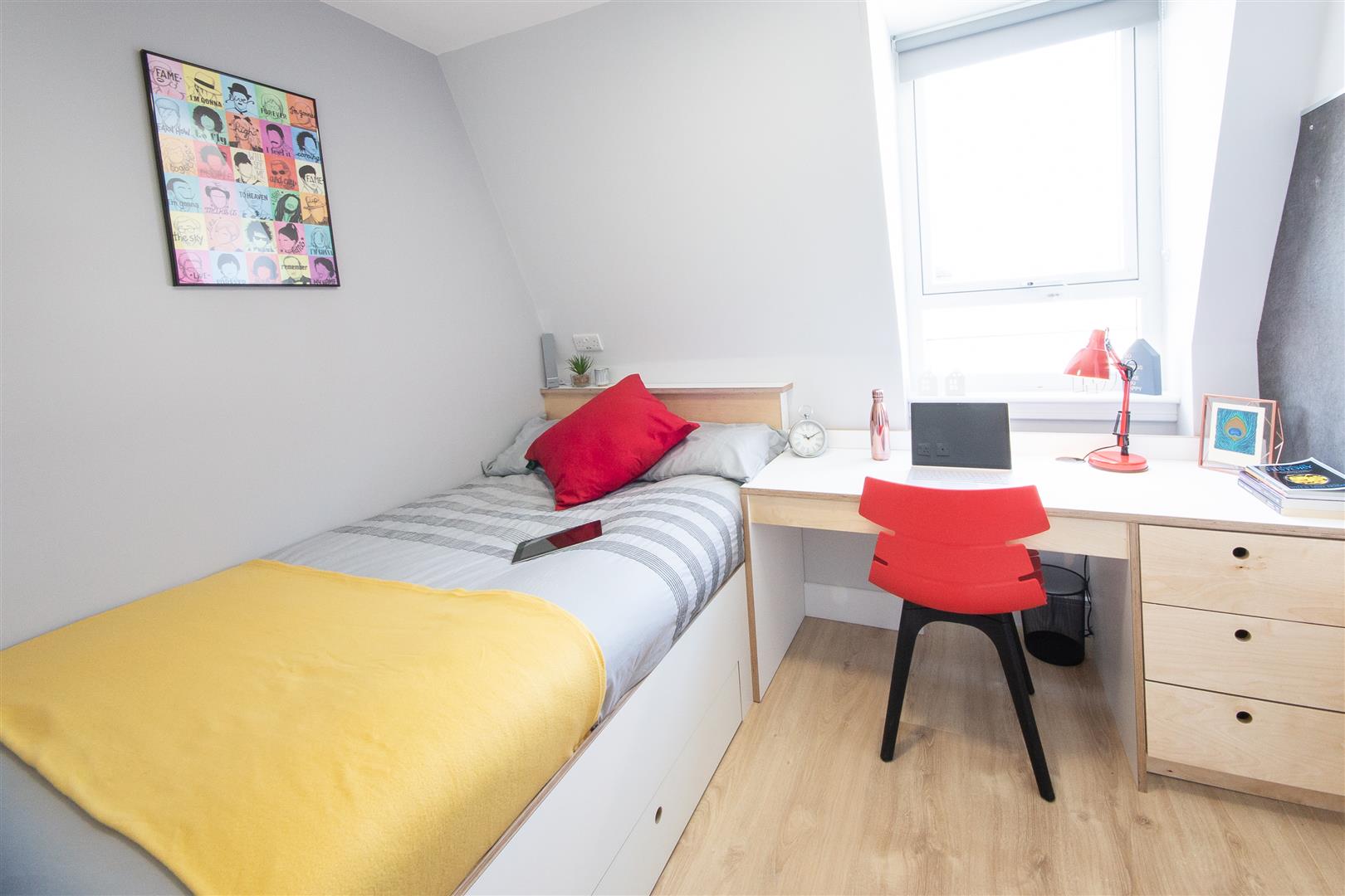 apartment for rent lansdowne street