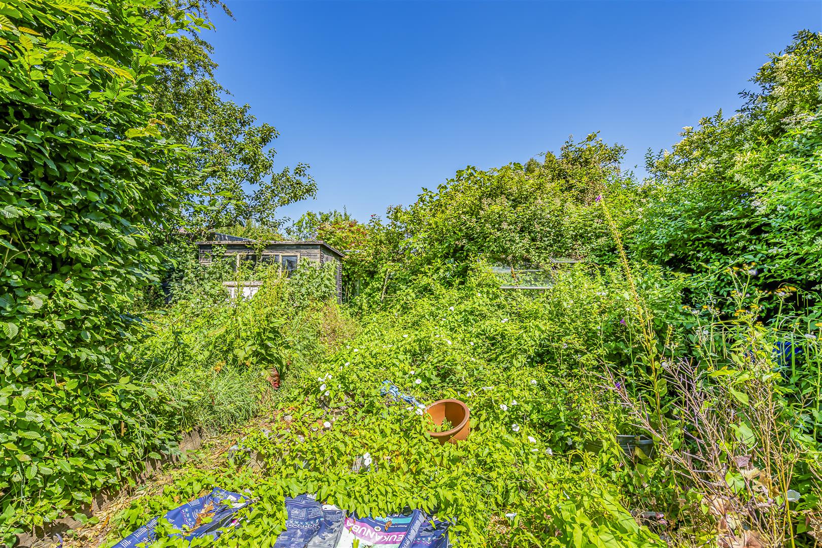 house - detached for sale main road