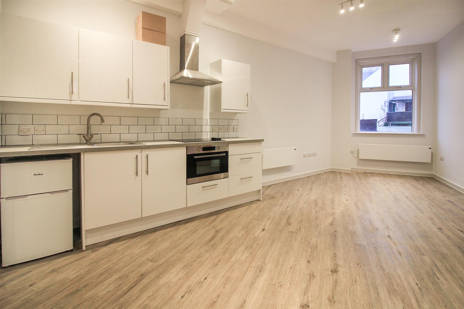 maisonette for sale britannia road north