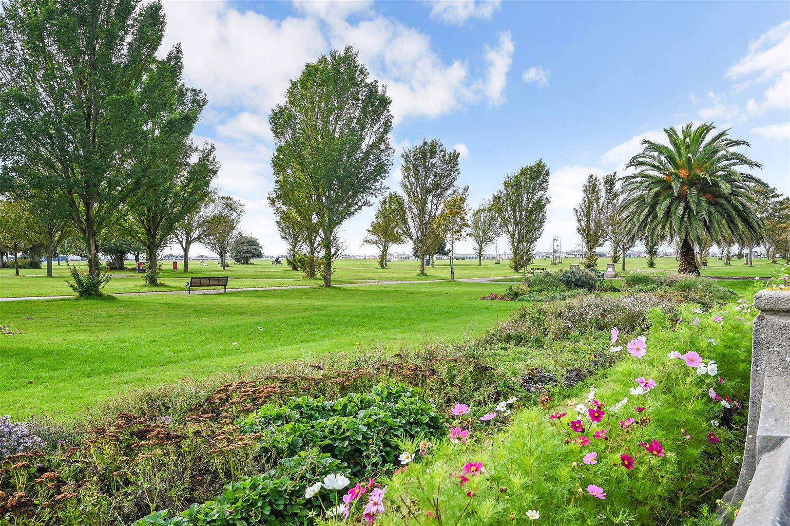 flat for sale palmerston road