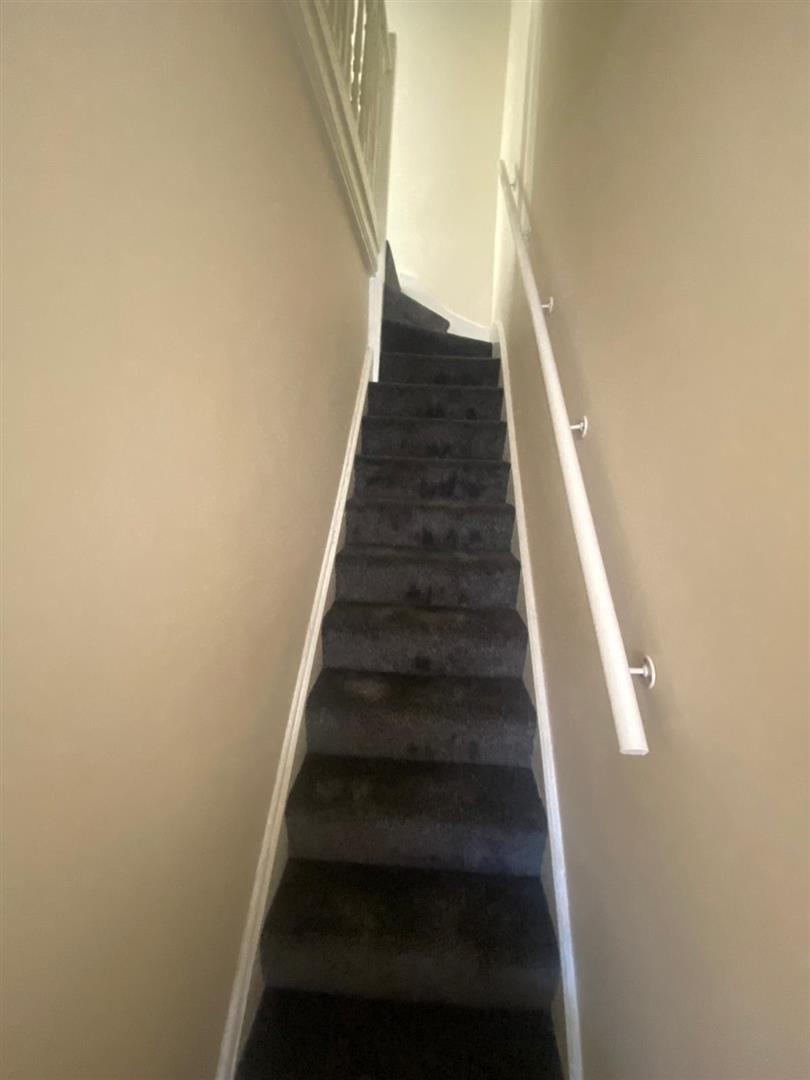 student property for rent brook street